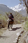 Inca Trail, Cusichaca Valley with the snow capped peak of Veronica in sight. 